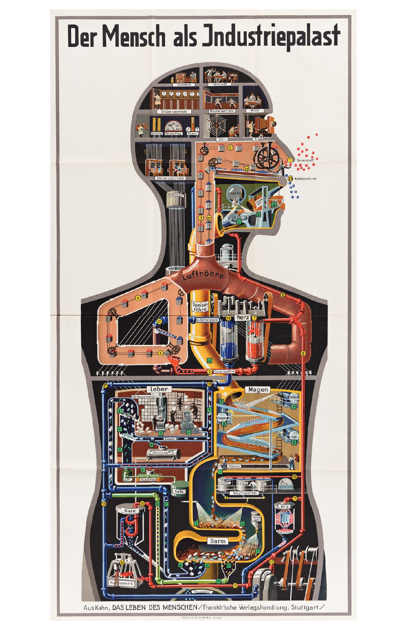 Fritz Kahm - 1936