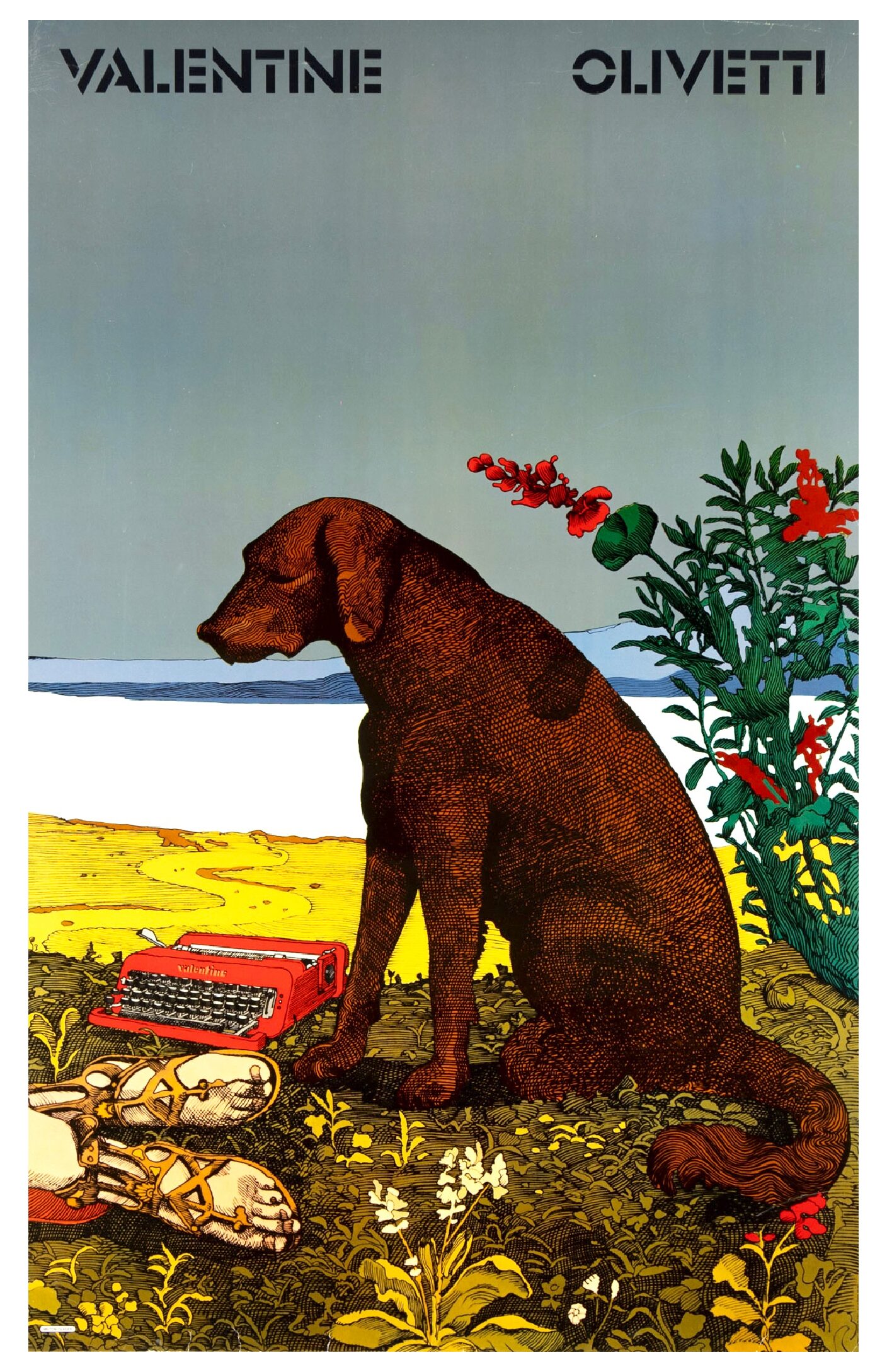Glaser Olivetti