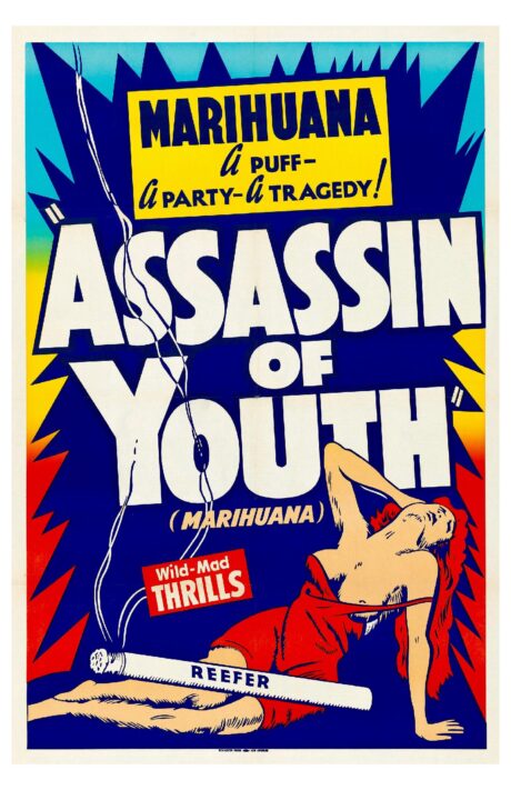 Assassin of Youth